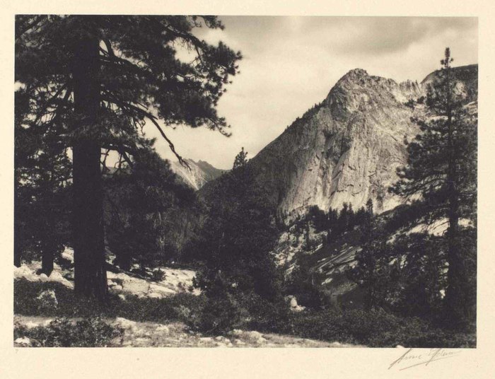 In Mono Creek Cañon