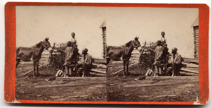 All the live stock left on Mr. Gill's plantation after the battle of Gettysburg