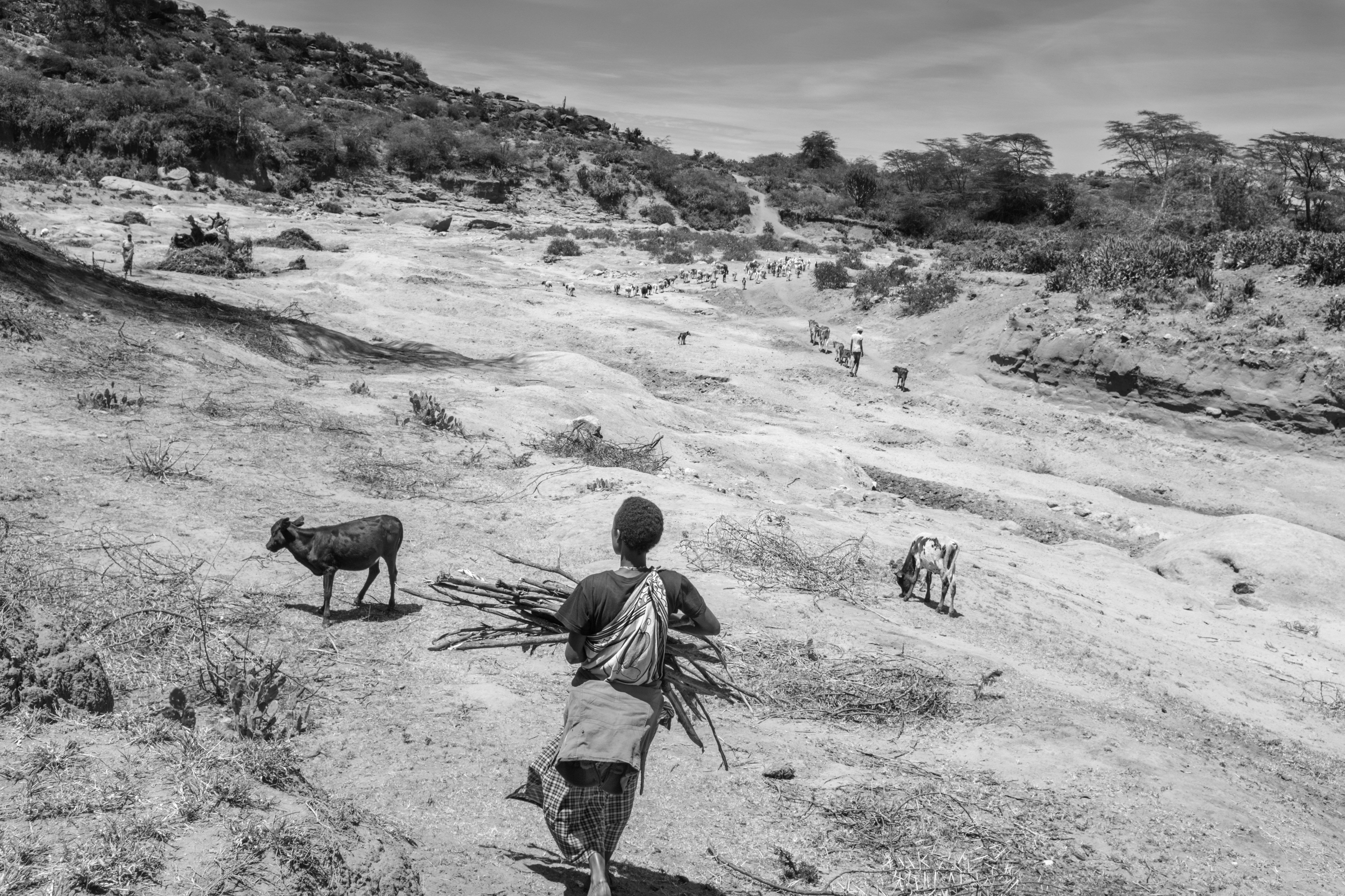 Rasha Al Jundi (DOC Online ‘22)