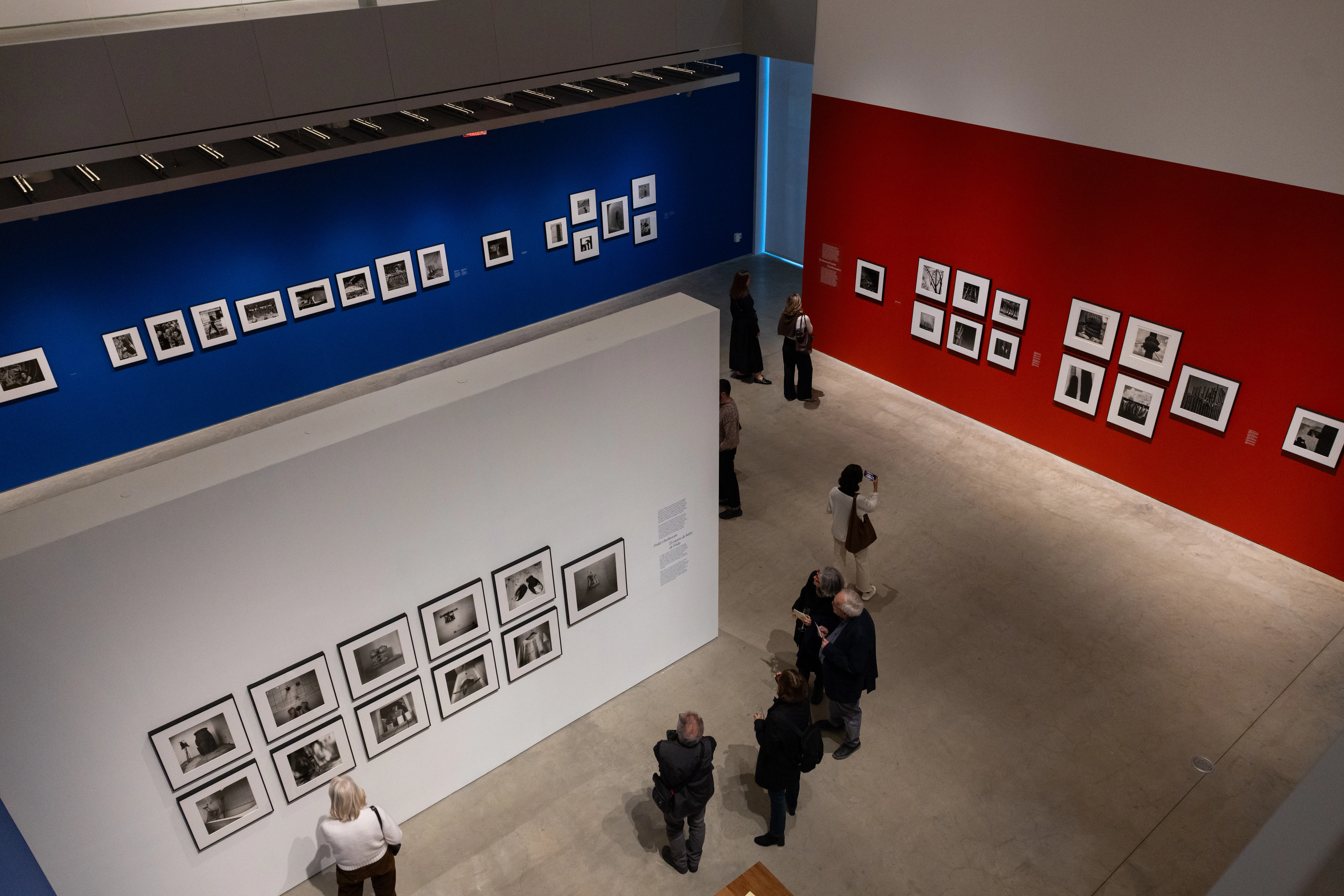 Image: Jenna Bascom for ICP